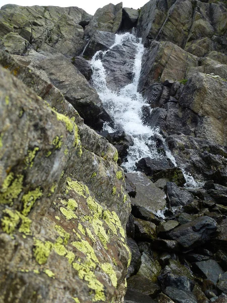 Sendero Alta Altitud Stubai Vuelta Tirol Austria —  Fotos de Stock