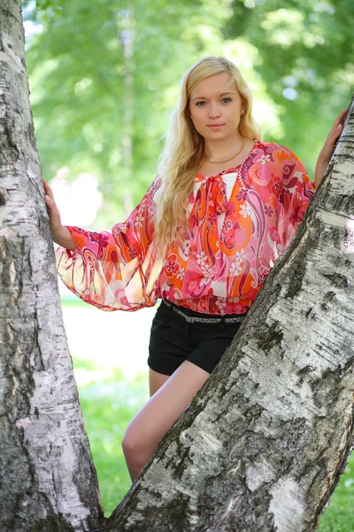 Schöne schöne Mädchen an einer Birke — Stockfoto