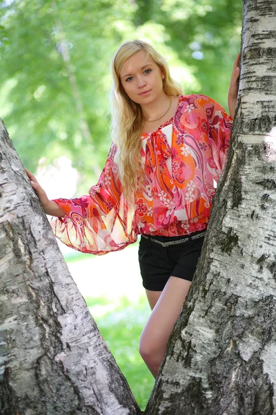 Gyönyörű szép lány egy nyírfa — Stock Fotó