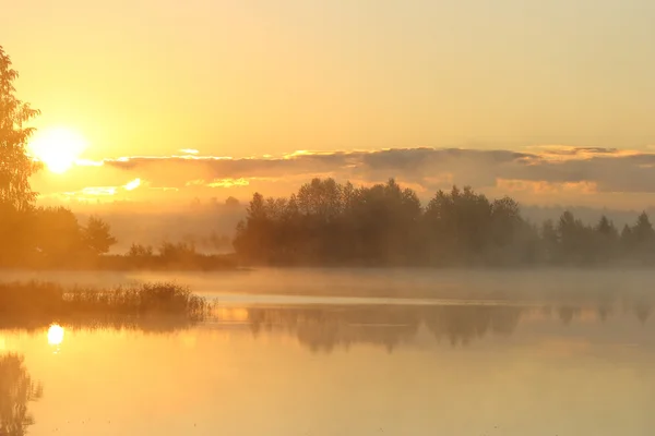 Hermoso amanecer brillante en la niebla — Foto de Stock