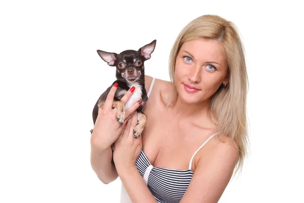 Girl with chihuahua in her arms — Stock Photo, Image