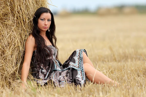 Retrato de una chica en un campo con heno —  Fotos de Stock