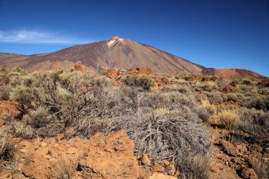 Volkan Dağı Teide. Kanarya Adaları, İspanya