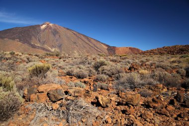 Tenerife, Kanarya Adaları, İspanya - volkan teide Milli Parkı. m