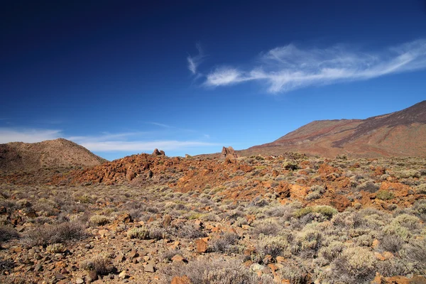 Národní park Teide. — Stock fotografie