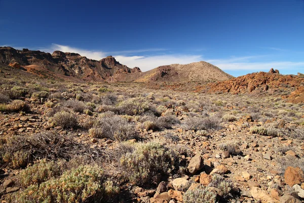 Εθνικό πάρκο Teide. — Φωτογραφία Αρχείου