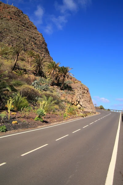 Horská krajina ostrova la gomera. Kanárské ostrovy. Španělsko — Stock fotografie