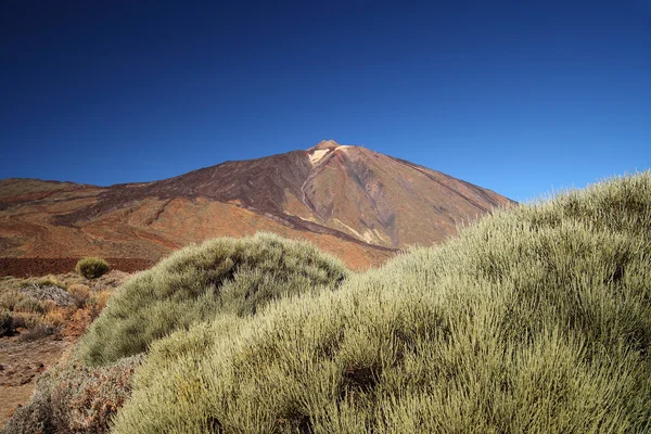 Montaña del Teide y formación rocosa. Tenerife. Volcán . — Foto de Stock