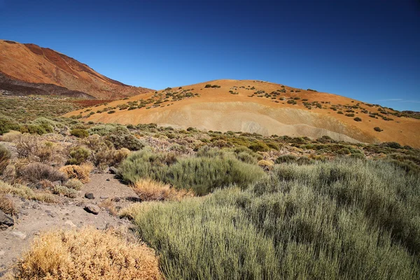 Teide Montagna e formazione rocciosa. Tenerife. Vulcano . — Foto Stock