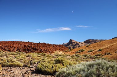 Teide Dağı ve kaya oluşumu. Tenerife. Volkan.