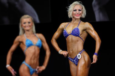 Spor modeli