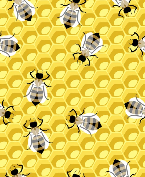 Honeycomb a včela — Stockový vektor