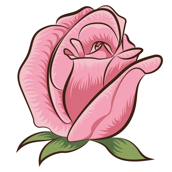 Ilustración de rosa — Vector de stock