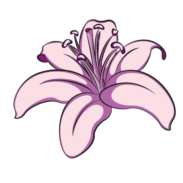 Ilustración de lili — Vector de stock