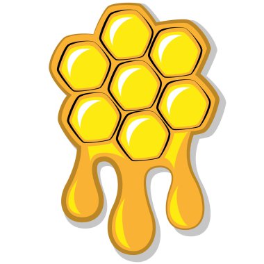 Arı peteği bal, vektör çizim tam