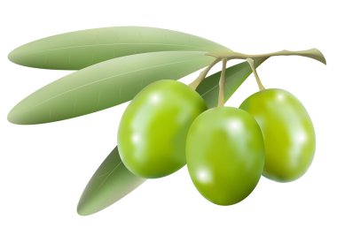 zeytin