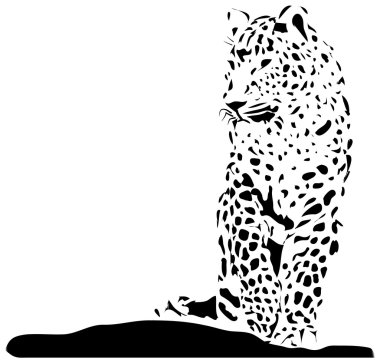 siyah ilustrated panter