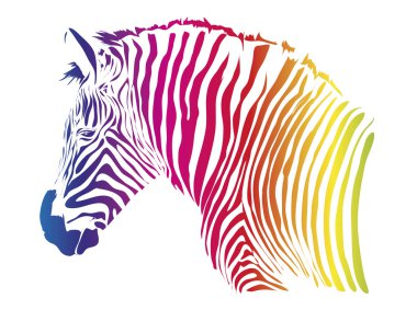 Zebra illüstrasyon