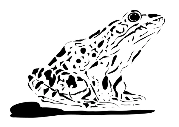 Kurbağa çizimi — Stok fotoğraf