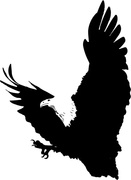 Eagle illustration — Stockfoto