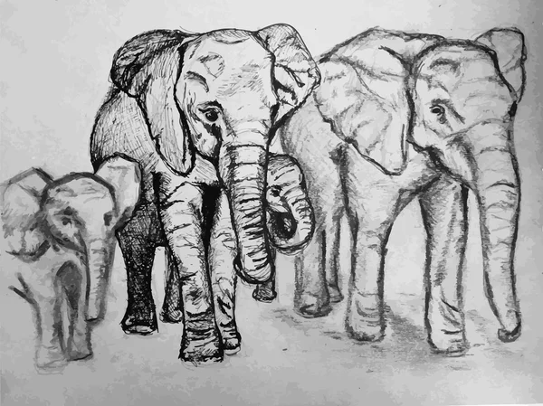 Éléphants — Image vectorielle