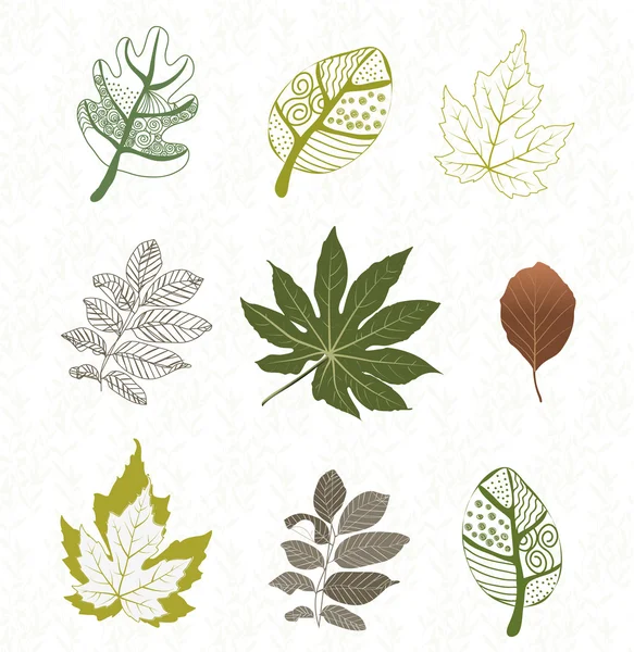 Collection of color vector leafs — Stock Vector