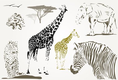 Vahşi Afrika hayvanları kümesi