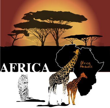 Afrika backgroudn harita ile renk