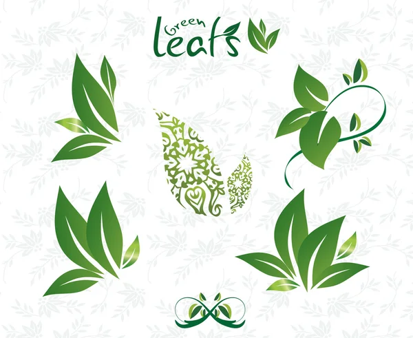 Leaf  stickers — Stock Vector