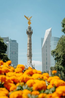 mexico City'de kurtuluş angel.