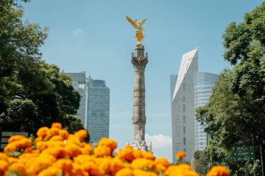 mexico City'de kurtuluş angel.