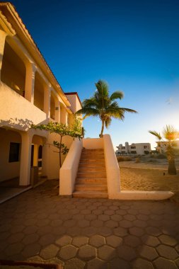 Denizde inşa ediliyor, palmiye ağaçları ve gün batımının kum renkleri..