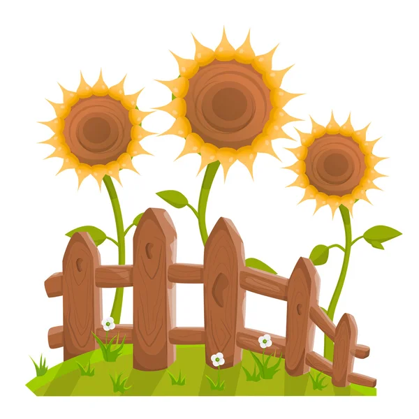 Sunflowers — Stock Illustration Sunflowers Royalty Free Stock Vectors