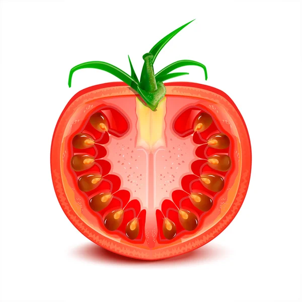 Шматочок вектора помідорів — стоковий вектор