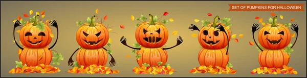 Σετ Κολοκύθες Για Halloween Φθινοπωρινά Φύλλα Εικονογράφηση Διανύσματος — Διανυσματικό Αρχείο