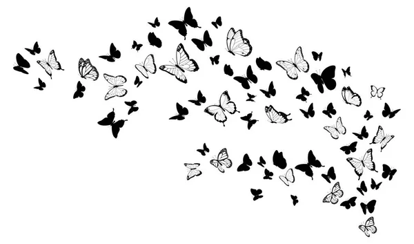 Flying Black Silhouettes Butterflies Vector Design Element — Stock Vector