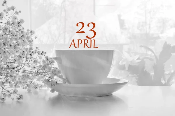 Kalenderdatum auf hellem Hintergrund mit weißem Teepaar aus Porzellan und weißer Gipsophila mit Kopierraum. 23. April ist der dreiundzwanzigste Tag des Monats — Stockfoto