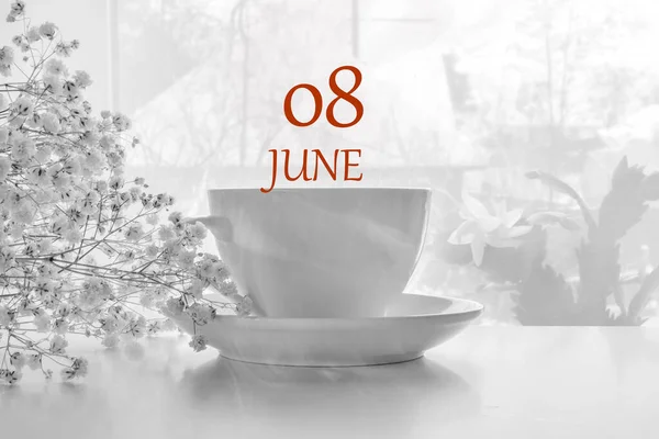 磁器の白いペアとコピースペースの白いジプシーの光の背景のカレンダーの日付 6月8日は月の8日 ストック画像