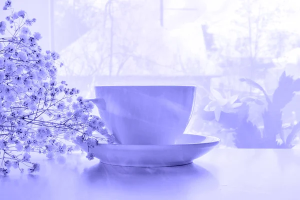High Key Photograph Porcelain White Mug Saucer White Gypsophila Concept — Stock Photo, Image