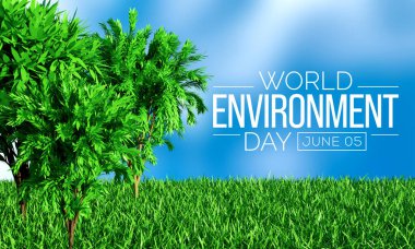 Dünya Çevre Günü her yıl 5 Haziran 'da gözlemlenmekte ve deniz kirliliğinden, insan nüfusunun fazlalığından kaynaklanan çevre sorunlarına yönelik farkındalığı artırmak için bir sancak gemisi kampanyası olmuştur. 3B Hazırlama