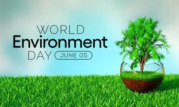 Dünya Çevre Günü her yıl 5 Haziran 'da gözlemlenmekte ve deniz kirliliğinden, insan nüfusunun fazlalığından kaynaklanan çevre sorunlarına yönelik farkındalığı artırmak için bir sancak gemisi kampanyası olmuştur. 3B Hazırlama