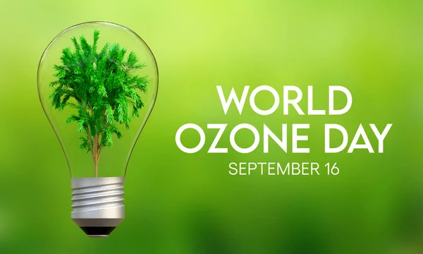 World Ozone day is observed every year on September 16 to spread awareness among people about the depletion of Ozone Layer and find possible solutions to preserve it. 3D Rendering