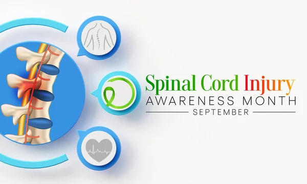 Spinal Cord injury awareness month is observed every year in September, individuals with SCI often overcome the challenges of their condition and go on to lead normal, happy lives. 3D Rendering