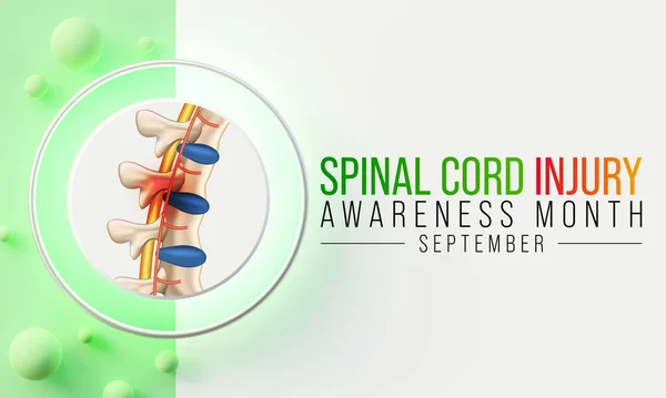 Spinal Cord injury awareness month is observed every year in September, individuals with SCI often overcome the challenges of their condition and go on to lead normal, happy lives. 3D Rendering