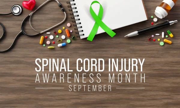 Spinal Cord injury awareness month is observed every year in September, individuals with SCI often overcome the challenges of their condition and go on to lead normal, happy lives. 3D Rendering