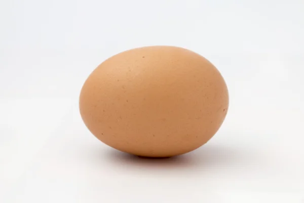 Pollo de huevo —  Fotos de Stock