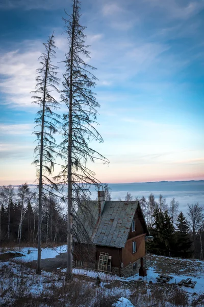 Cabine in het hout — Stockfoto