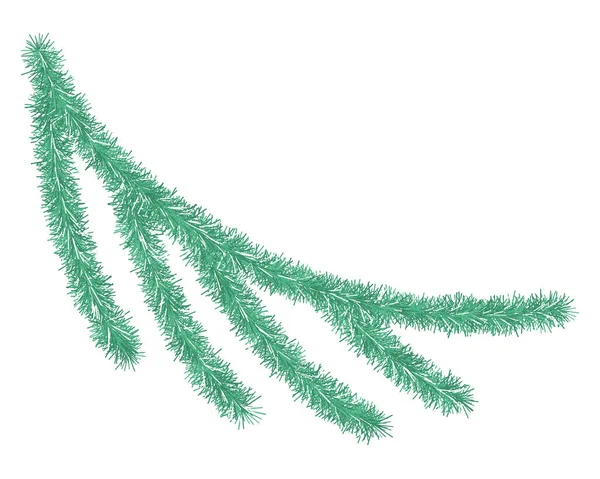Cabang Pohon Natal Evergreen Cabang Spruce Terbuat Dari Tinsel Hijau - Stok Vektor