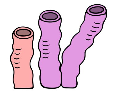 Borulu deniz süngerleri. Deniz hayvanı. Su altı organizması. Renkli vektör çizimi. Çizgi film tarzı. İzole edilmiş arka plan. Web tasarımı için fikir, kitap.