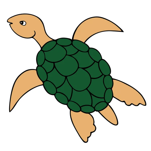 カメだ 緑のシェルと海の爬虫類 楕円形のシェルを持つ水亀 カラーベクトルイラスト 海の住人だ 漫画風 孤立した背景 ウェブデザイン 書籍のアイデア — ストックベクタ